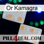 Kamagra Gold 25